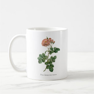 Caneca De Café O Esfregão do amanhecer: Rosa damascena "Aurora" M