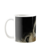 O nariz do cão se fecha