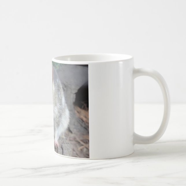 Caneca De Café O Quoll de Tasmânia (Direita)