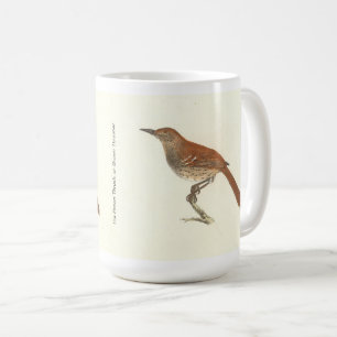 Caneca De Café O Turvo Marrom ou o Traseiro Marrom, Pássaros de N