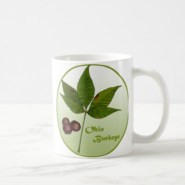 Caneca De Café Ohio Buckeye Tree (Direita)