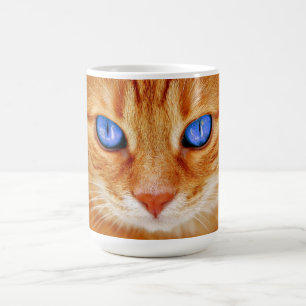 Caneca De Café Olhos de Gato Cara Cavalha Vermelha Gato