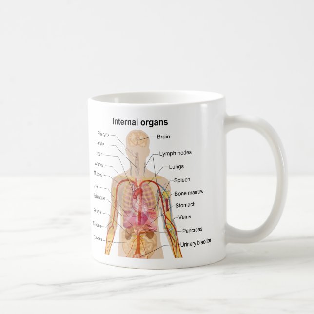 Caneca De Café Órgãos internos principais na carta do corpo (Direita)