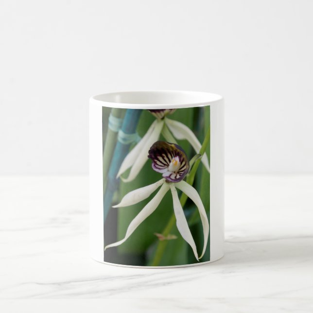 Caneca De Café Orquídea (Centro)