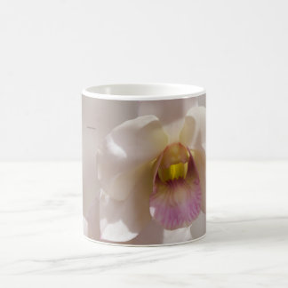 Caneca De Café Orquídea branca e rosa em um fundo desfocado