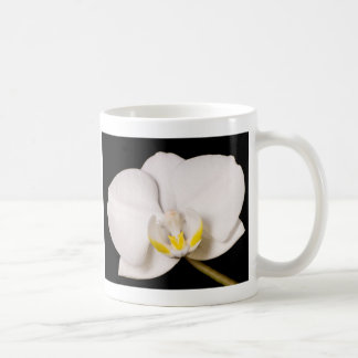 Caneca De Café Orquídea branca no preto