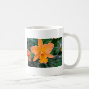 Caneca De Café Orquídea de salmão