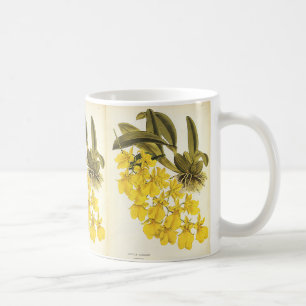 Caneca De Café Orquídea Oncidium Amarela Vintage, Flores Tropicai