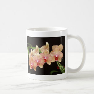 Caneca De Café Orquídeas!