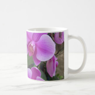 Caneca De Café Orquídeas
