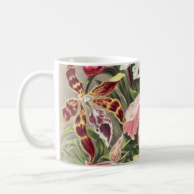 Caneca De Café Orquídeas, Orquídeas Denusblumen de Ernst Haeckel (Esquerda)