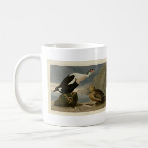 Caneca De Café Os Pássaros da América do Rei Pato (Rei Eider) Aud