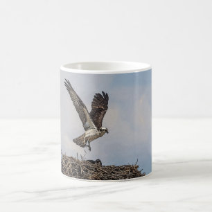 Caneca De Café Osprey em um ninho
