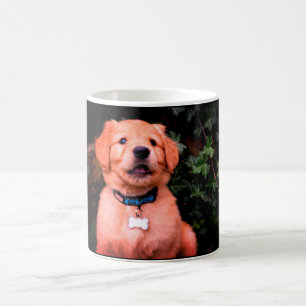 Caneca De Café Ouro Retriever Puppy