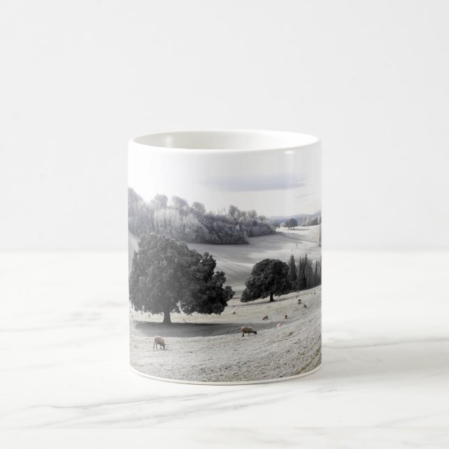 Caneca De Café Ovinos num campo congelado (Centro)