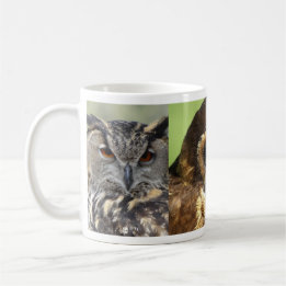 Caneca De Café Owls Animal Birds Nature Park