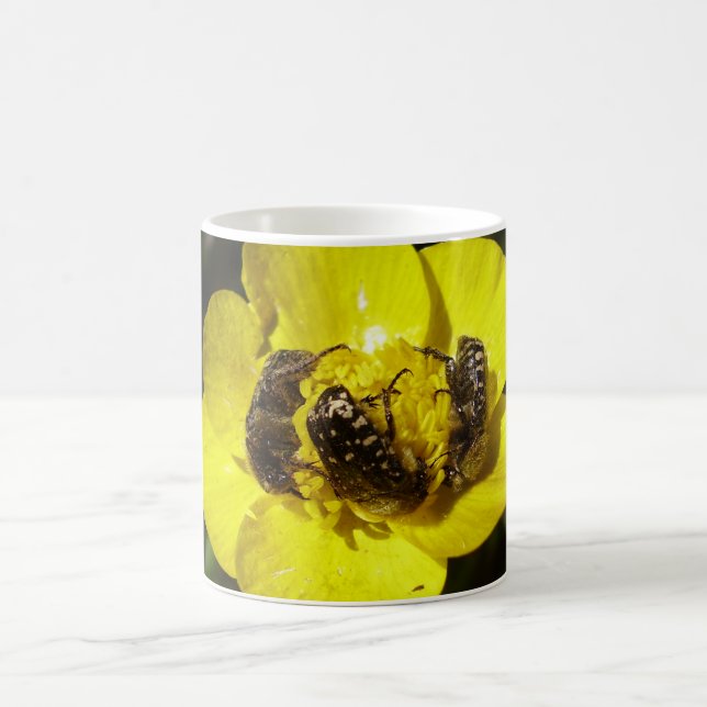 Caneca De Café Oxythyrea Funesta Beetles Inseto Mug (Centro)