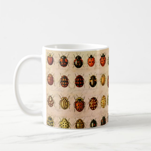 Caneca De Café Padrão de Espécime de Joaninha Vintage Inseto Anti (Esquerda)