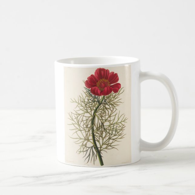 Caneca De Café Paeony com folhas fino (Direita)