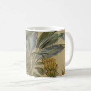 Caneca De Café Palm Antique Fruta Tropical Arte Botânica