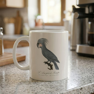 Caneca De Café Palmito-preto, Probosciger aterrimus