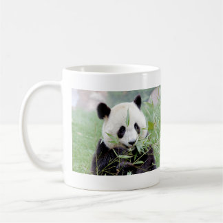 Caneca De Café Panda gigante da foto de canecas. Panda geant.