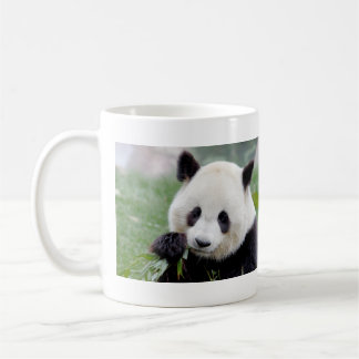 Caneca De Café Panda gigante da foto de canecas. Panda geant.