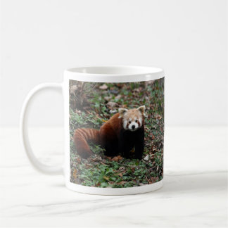 Caneca De Café Panda vermelha