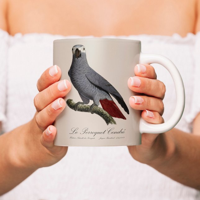 Caneca De Café Papagaio cinzento africano, Psittacus erithacus, v (Le Perroquet Cendre - 19th century illustration. Coffee Mug)