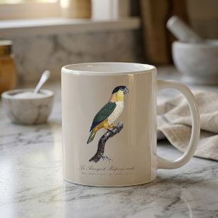 Caneca De Café Papagaio de Cabeça Preta Macho, Pionites Melanocep