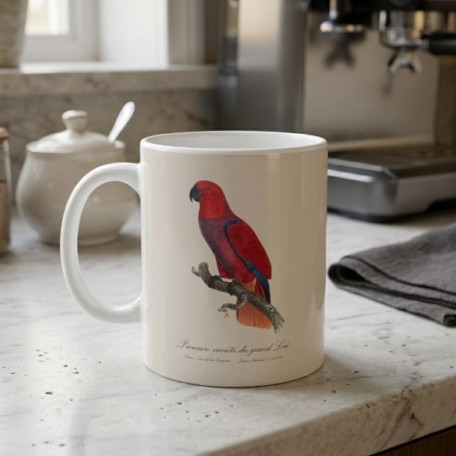 Caneca De Café Papagaio Eclectus de Vosmaer, Eclectus Roratus Vos (Vosmaer Eclectus Parrot, Eclectus Roratus Vosmaeri. Coffee Mug)