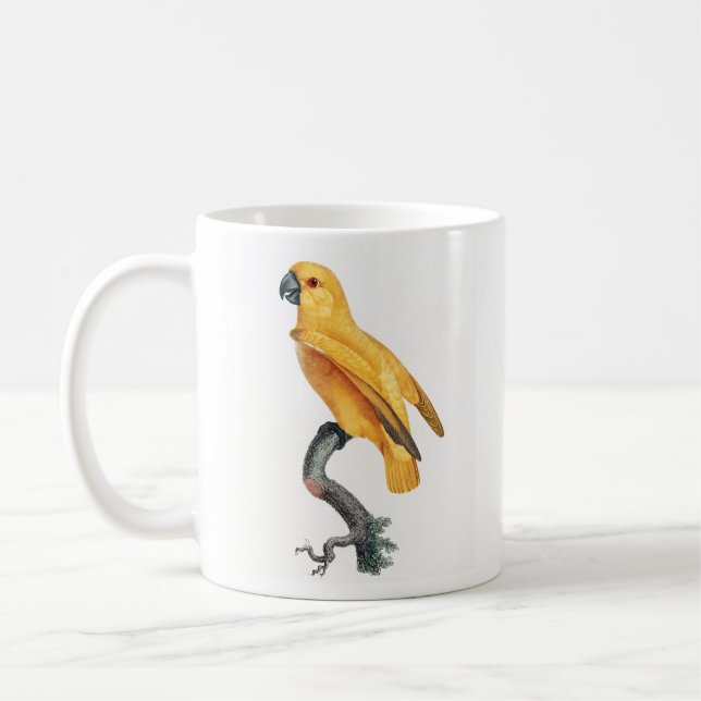 Caneca De Café Papagaio Senegal (Esquerda)