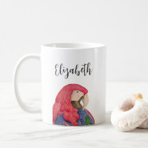 Papagaio Tropical Desenho Macaw Colorido