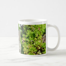 Caneca De Café Pardal Atrevido