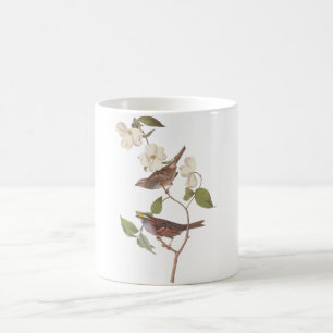 Caneca De Café Pardal Throated branco de Audubon