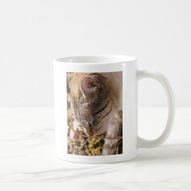 Caneca De Café Parem e cheirarem as flores (Direita)