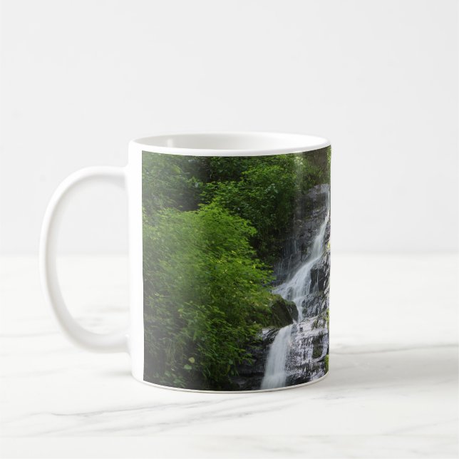 Caneca De Café Parque Nacional da Montanha Hen Wallow Falls Enfum (Esquerda)