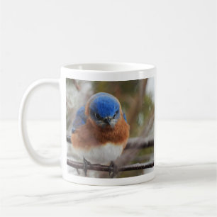 Caneca De Café Pássaro-azul-oriental Zangado
