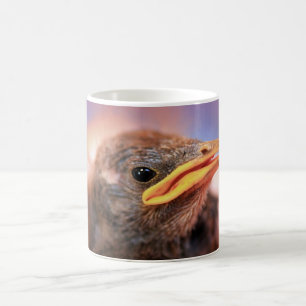 Caneca De Café Pássaro bebê