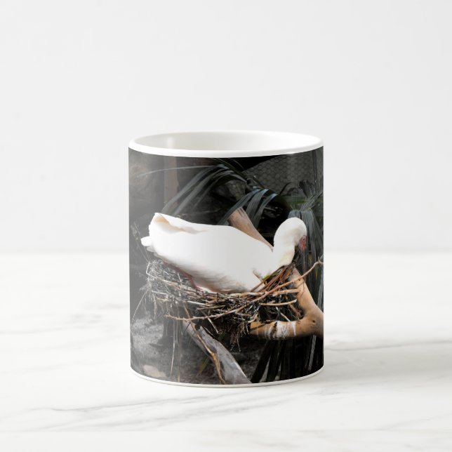 Caneca De Café Pássaro borboleta no ninho na Espanha (Centro)
