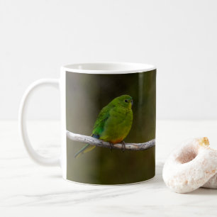 Caneca De Café Pássaro de papagaio-laranja na Austrália