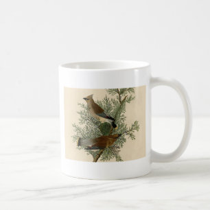 Caneca De Café Pássaro do Waxwing de cedro de Audubon
