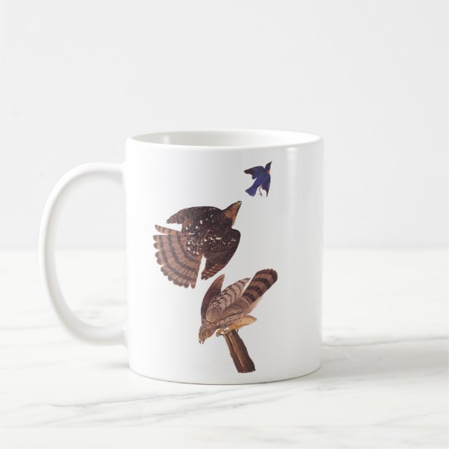 Caneca De Café Pássaro Hawk de Pia de Audubon, de Cooper (Esquerda)