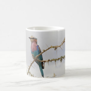 Caneca De Café Pássaro Mug