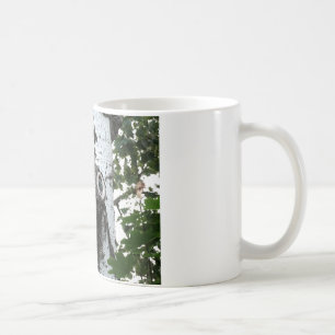 Caneca De Café Pássaro Pássaro Árvore Mágica Pasta Branca Clássic