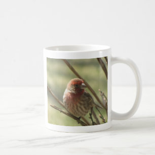 Caneca De Café Pássaro Pequeno na Canvas