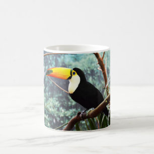 Caneca De Café Pássaro tucano