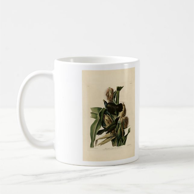 Caneca De Café Pássaros Roxos (Grackle) - Aves da América de Audu (Esquerda)