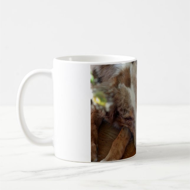 Caneca De Café pastor australiano malhado vermelho (Esquerda)