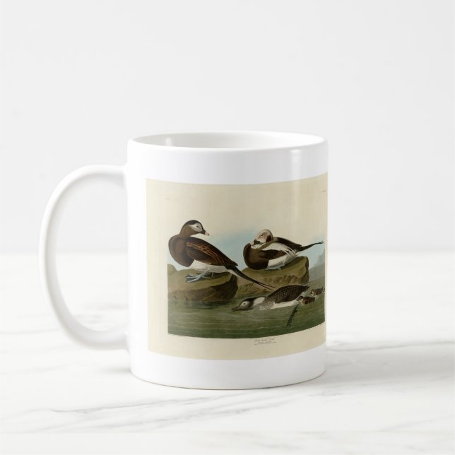 Caneca De Café Pato de cauda longa - das Aves da América de Audub (Esquerda)